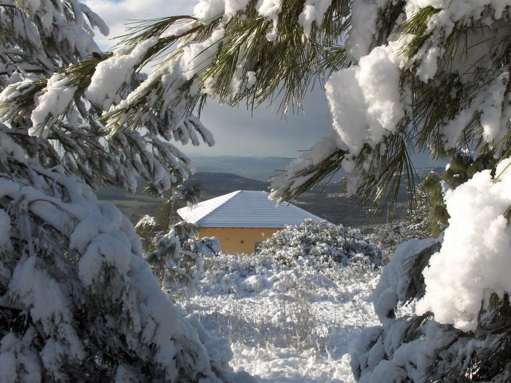 First Light Cabins Amirim Bagian luar foto
